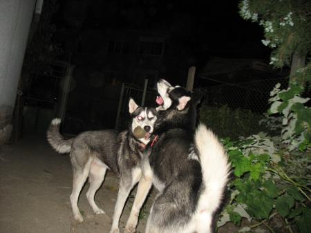 Прикачена снимка