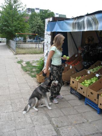 Прикачена снимка