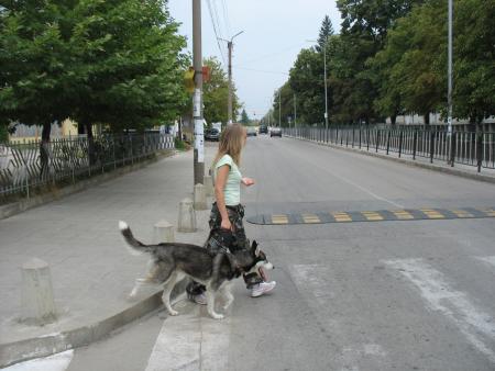 Прикачена снимка