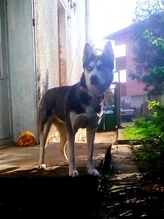 Прикачена снимка