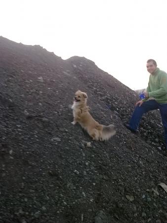 Прикачена снимка
