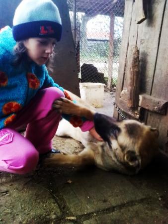 Прикачена снимка