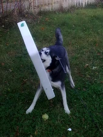 Прикачена снимка