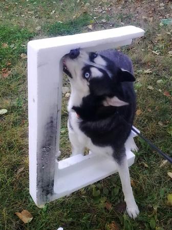 Прикачена снимка