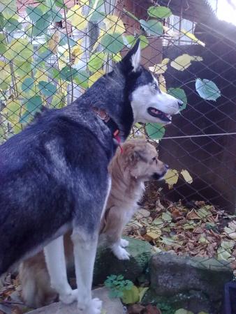 Прикачена снимка