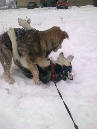 Прикачена снимка
