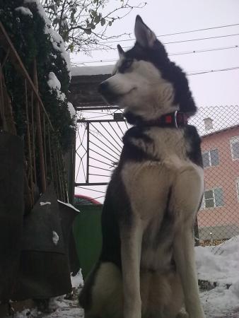 Прикачена снимка