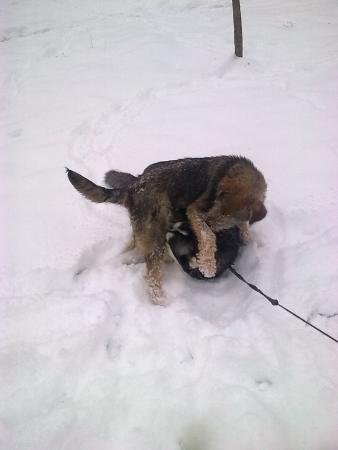 Прикачена снимка
