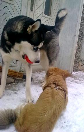 Прикачена снимка