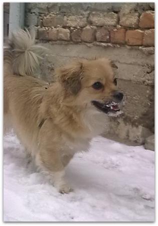 Прикачена снимка