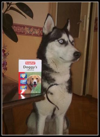 Прикачена снимка