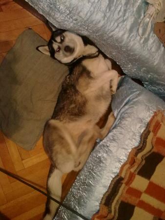 Прикачена снимка