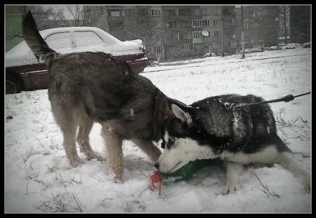 Прикачена снимка