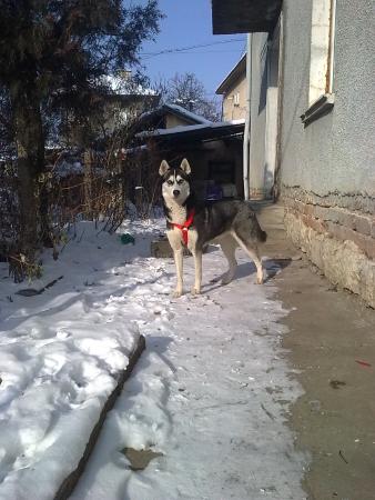 Прикачена снимка
