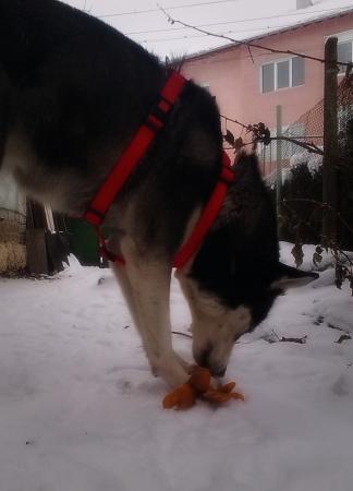 Прикачена снимка
