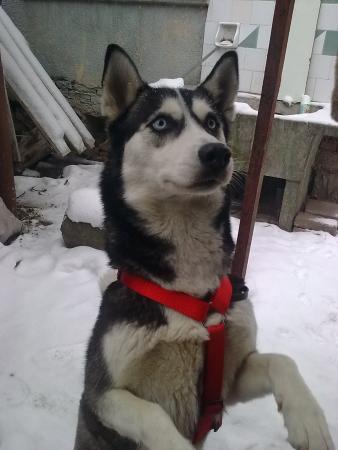 Прикачена снимка