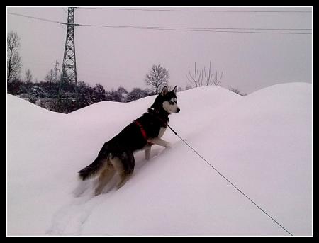 Прикачена снимка