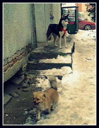 Прикачена снимка
