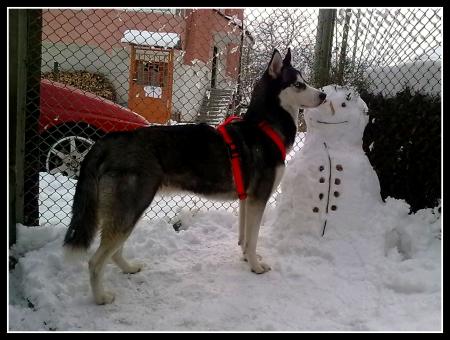 Прикачена снимка
