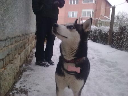 Прикачена снимка