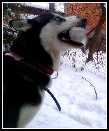 Прикачена снимка