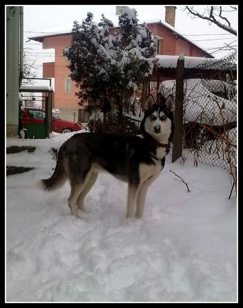 Прикачена снимка