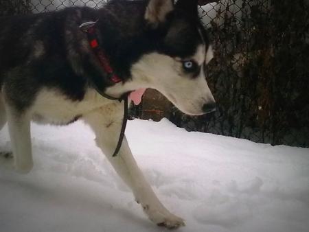 Прикачена снимка