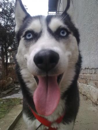 Прикачена снимка