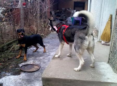 Прикачена снимка