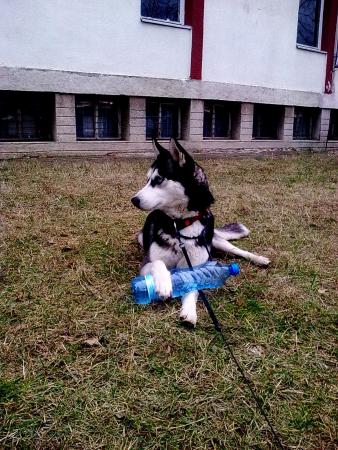 Прикачена снимка