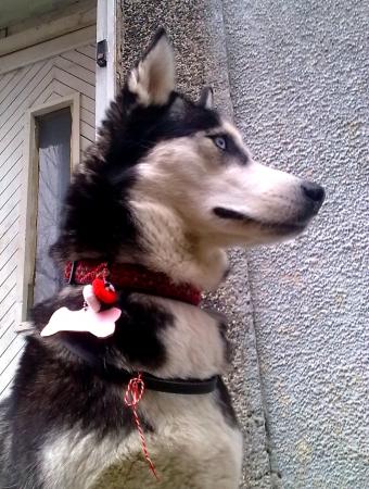 Прикачена снимка