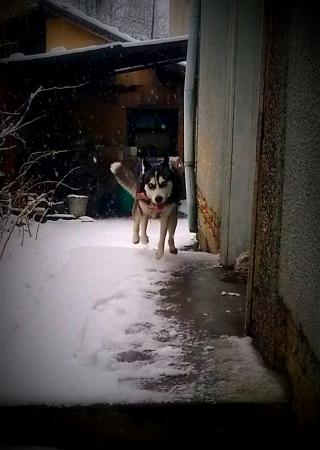 Прикачена снимка