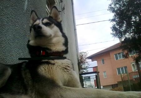 Прикачена снимка