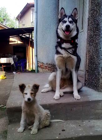 Прикачена снимка