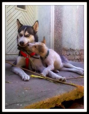 Прикачена снимка