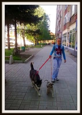 Прикачена снимка