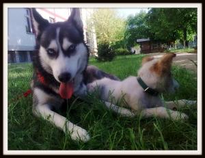 Прикачена снимка