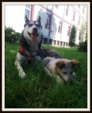 Прикачена снимка