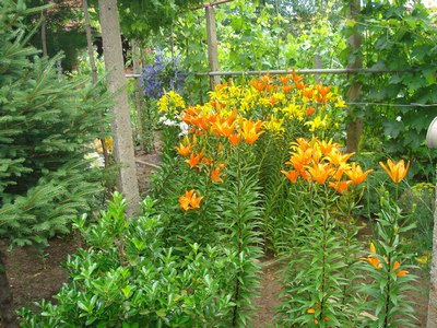 Прикачена снимка