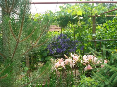 Прикачена снимка