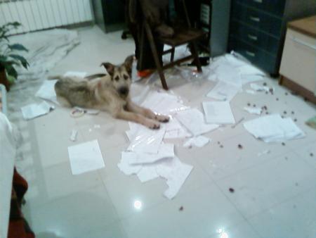 Прикачена снимка