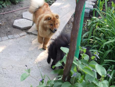 Прикачена снимка