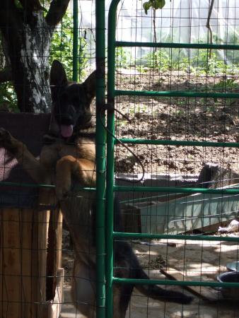 Прикачена снимка