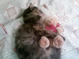 Прикачена снимка
