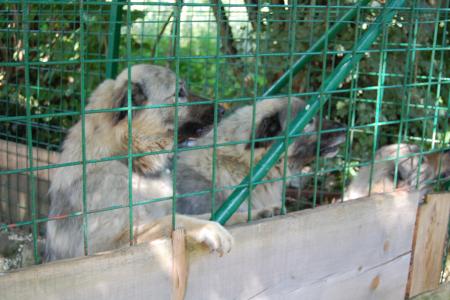 Прикачена снимка