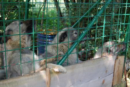 Прикачена снимка