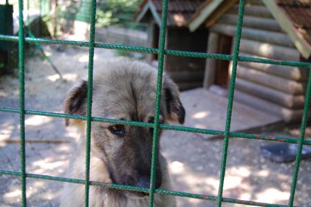 Прикачена снимка