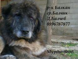 Прикачена снимка