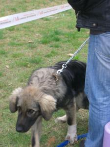 Прикачена снимка