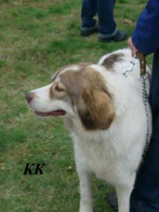 Прикачена снимка